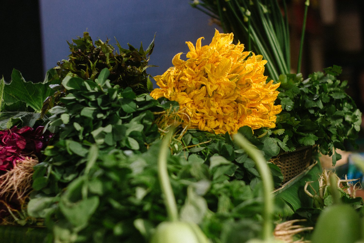 Spring Harvest
